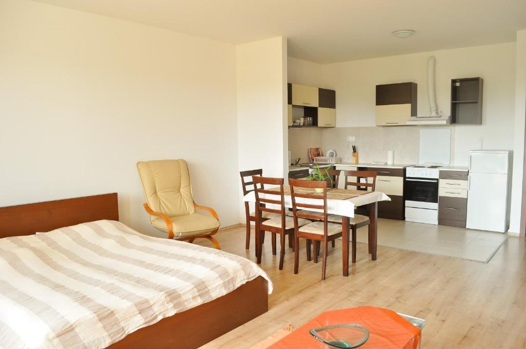 Tisza Palota Apartmanok Szegedin Zimmer foto